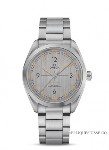 Copie Montre OMEGA Seamaster Steel Chronometer 220.13.41.21.03.002