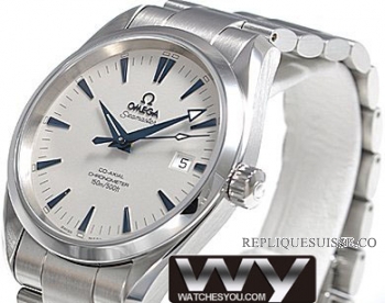 Omega Seamaster Aqua Terra Chronometer 2503.33.00 Montre Réplique