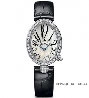 Breguet Reine de Naples Automatique Mini Dames 8928BB/5W/944/DD0D