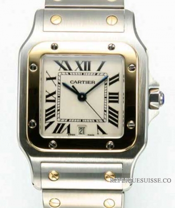 Cartier Santos Quartz Hommes W20011C4 Montre Réplique